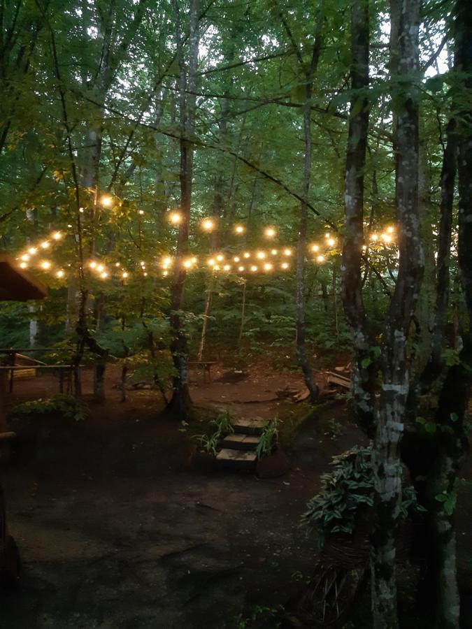 Vila Szoke Sovata Esterno foto